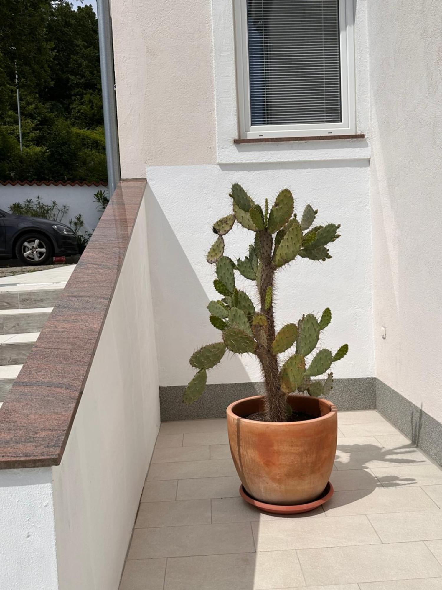 Dreamtime - One Badroom And 1 Livingroom Apartment Veprinac Εξωτερικό φωτογραφία