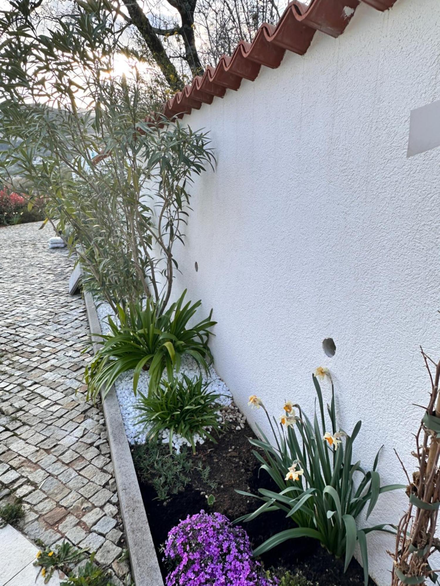 Dreamtime - One Badroom And 1 Livingroom Apartment Veprinac Εξωτερικό φωτογραφία